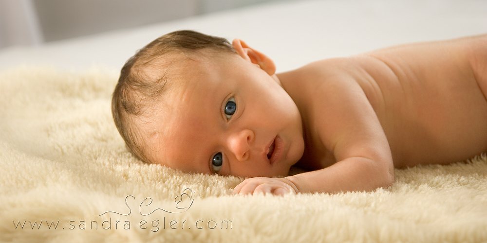 Sandra Egler Photography & Design