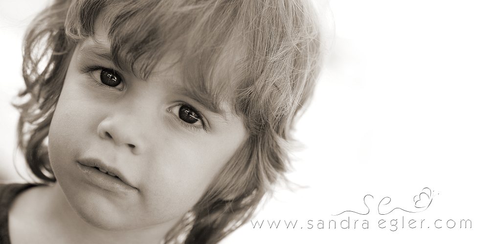 Sandra Egler Photography & Design