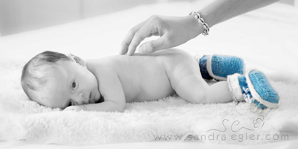 Sandra Egler Photography & Design