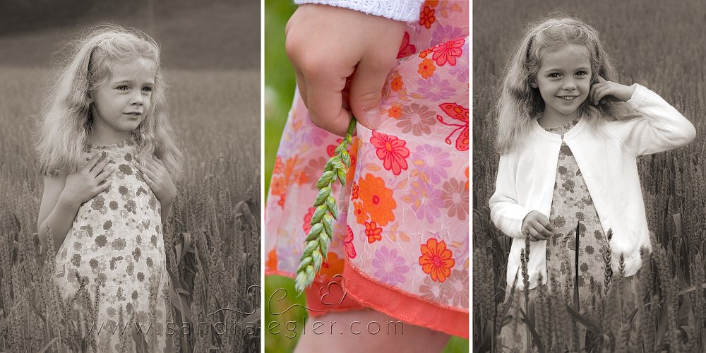 Sandra Egler Photography & Design