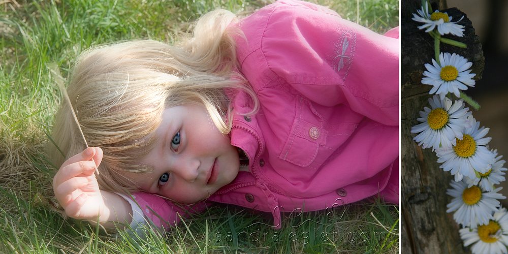 Sandra Egler Photography & Design