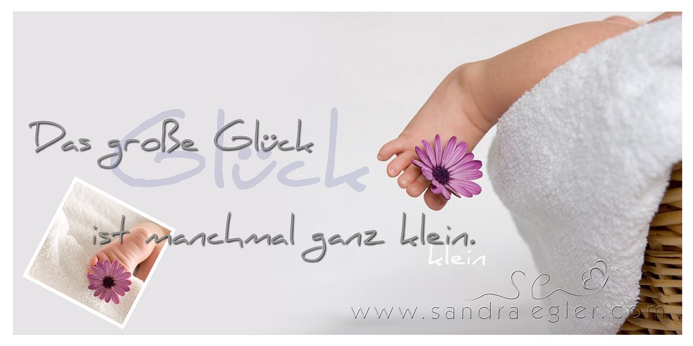 Sandra Egler Photography & Design