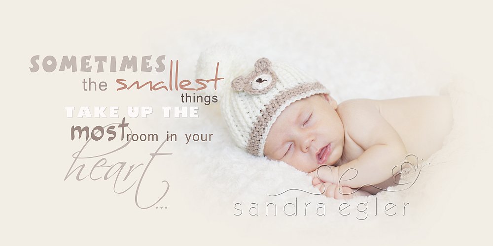 Sandra Egler Photography & Design