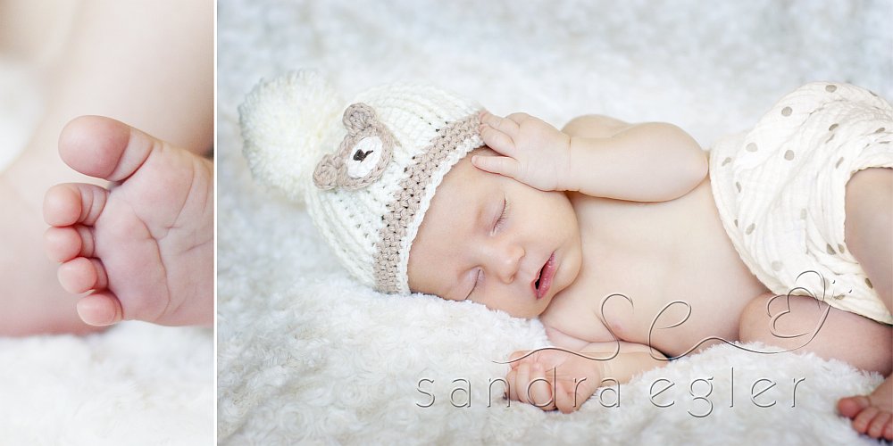 Sandra Egler Photography & Design