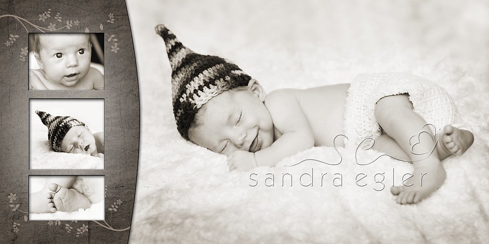 Sandra Egler Photography & Design