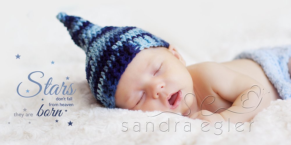 Sandra Egler Photography & Design