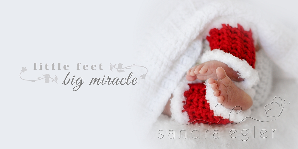 Sandra Egler Photography & Design