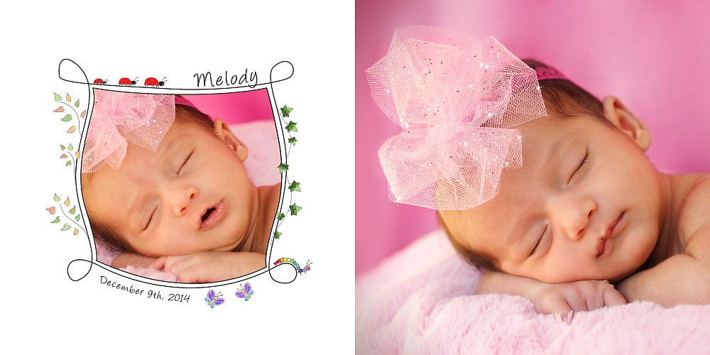 Sandra Egler Photography & Design