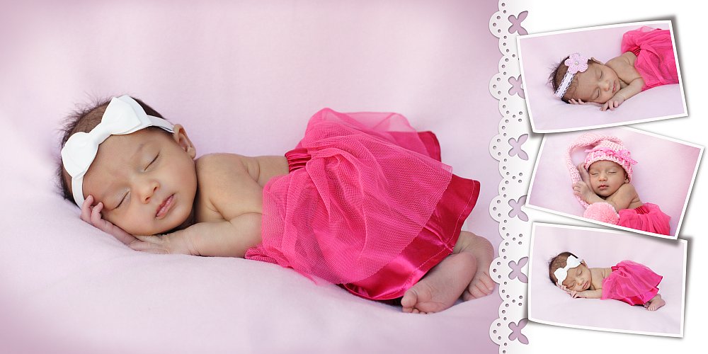 Sandra Egler Photography & Design
