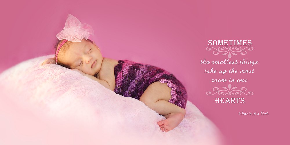 Sandra Egler Photography & Design