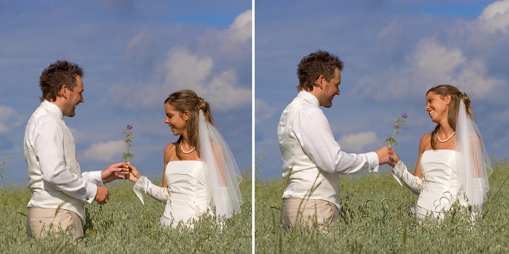Sandra Egler Photography & Design