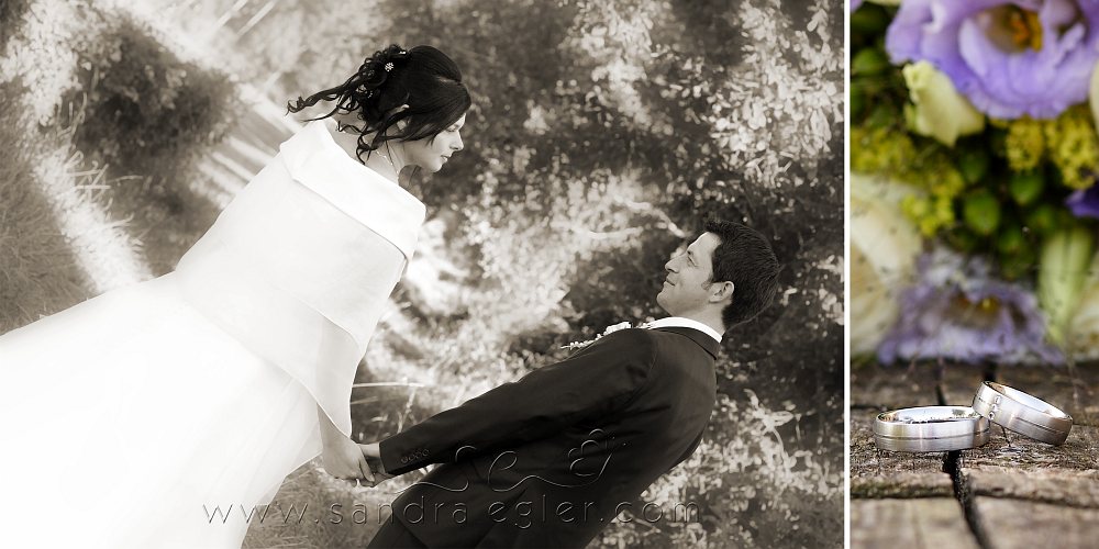 Sandra Egler Photography & Design