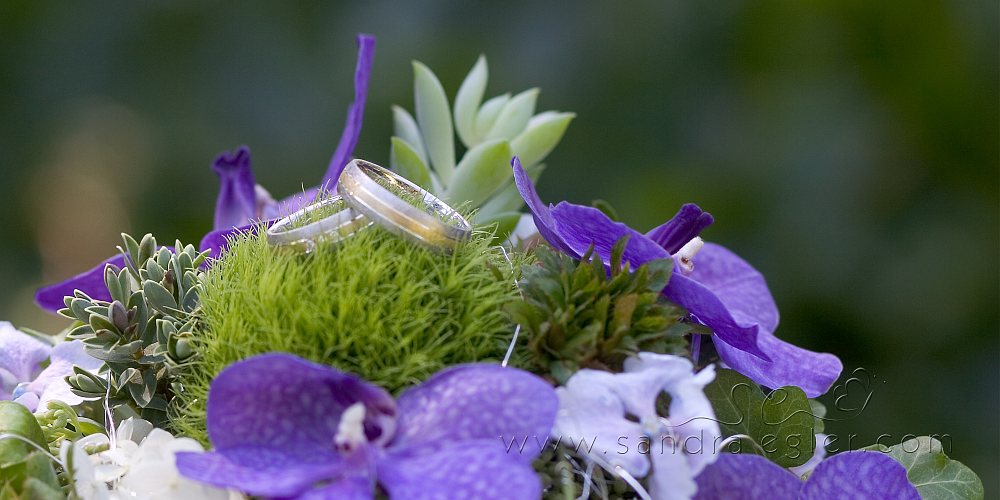 Sandra Egler Photography & Design