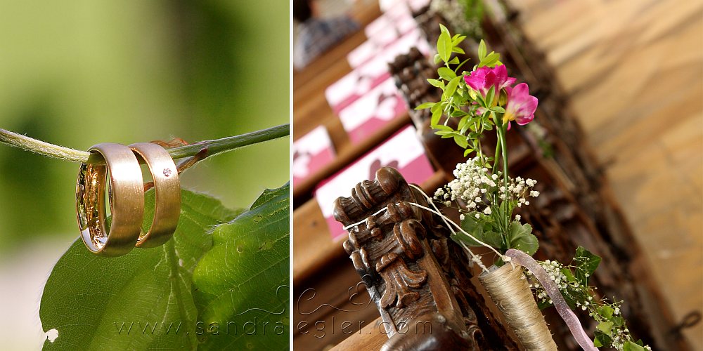 Sandra Egler Photography & Design